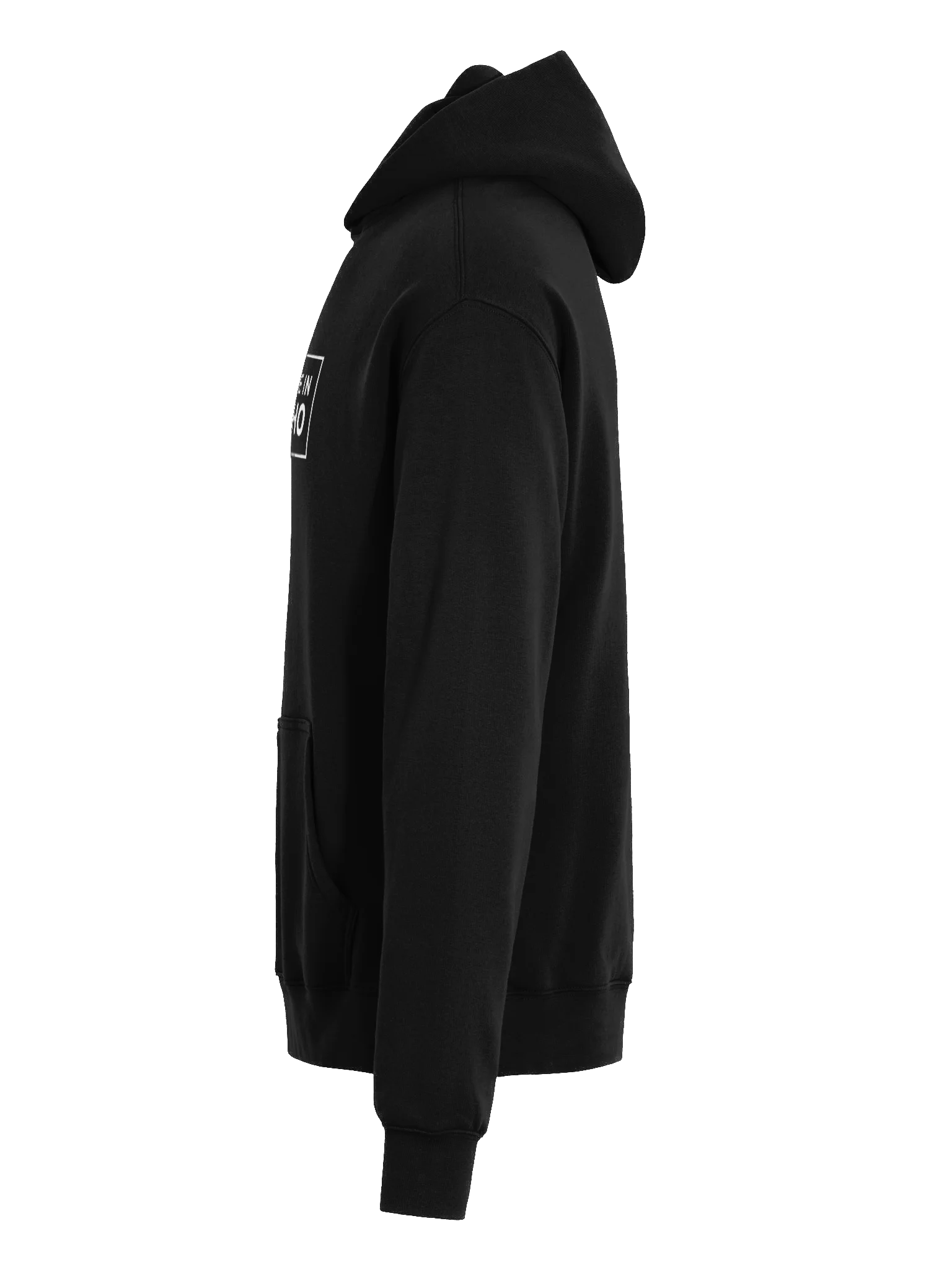 Outside in Idaho Logo Unisex Hoodie product image (6)