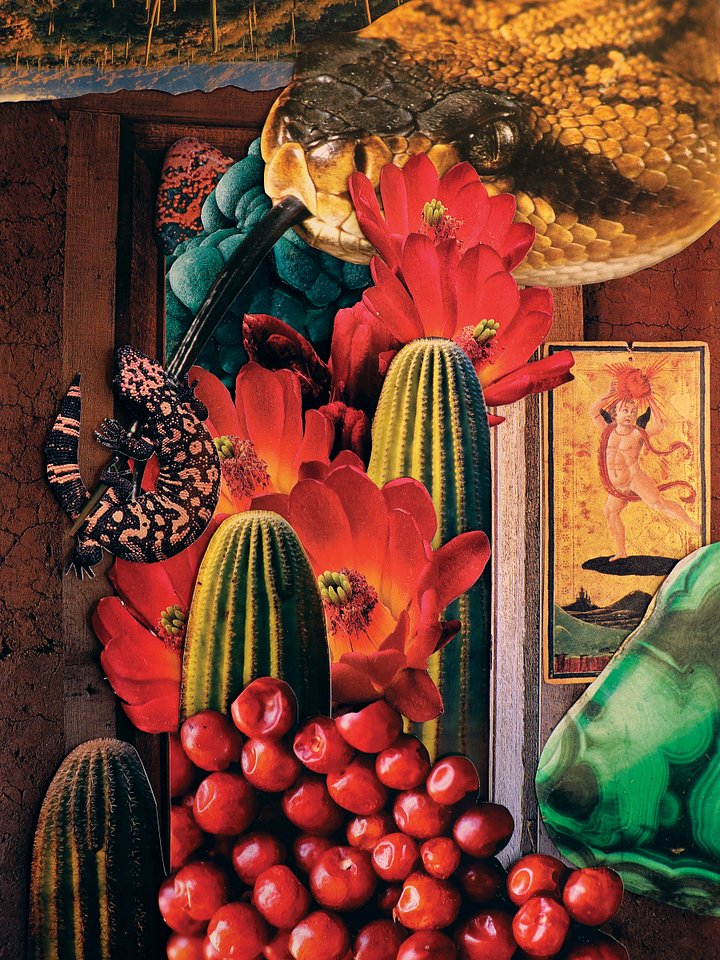 "desert guardians" 12"x16" collage print product image (1)