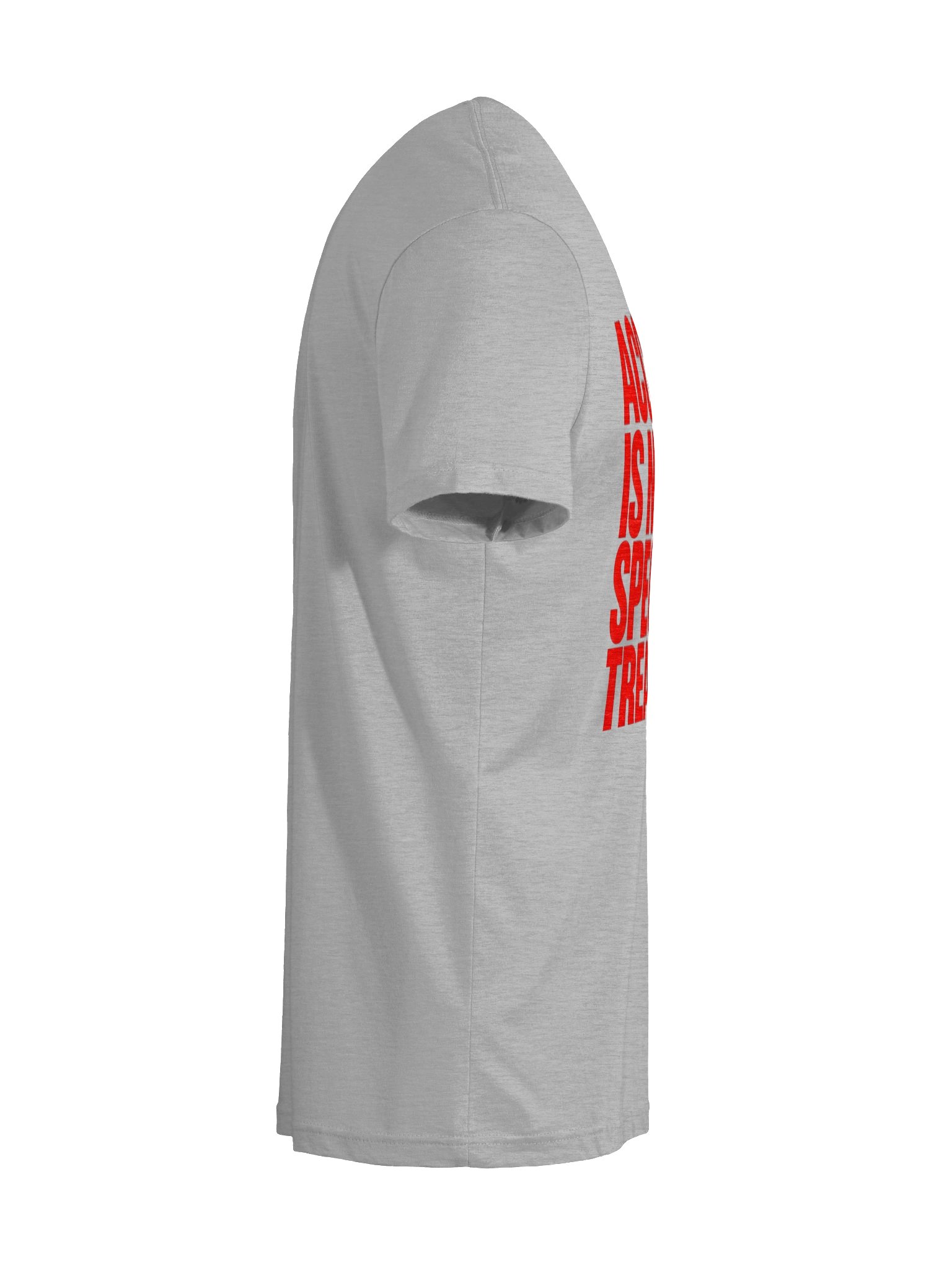 SEEN | Access Is Not Special Treatment Tee product image (3)