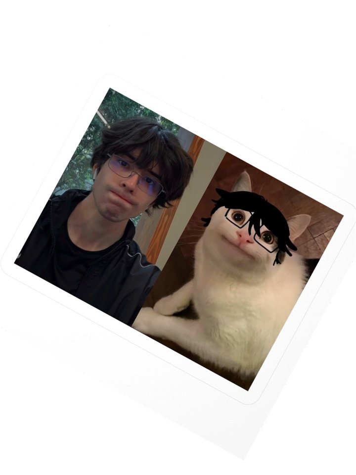 SHOOSHI-CAT STICKER product image (2)