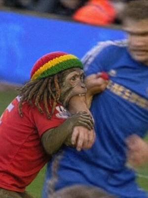 JAHMUNKEY IN THE WORLD CUP🫏 #worldcup #ankaramessi #argentina #brazil #monkey 