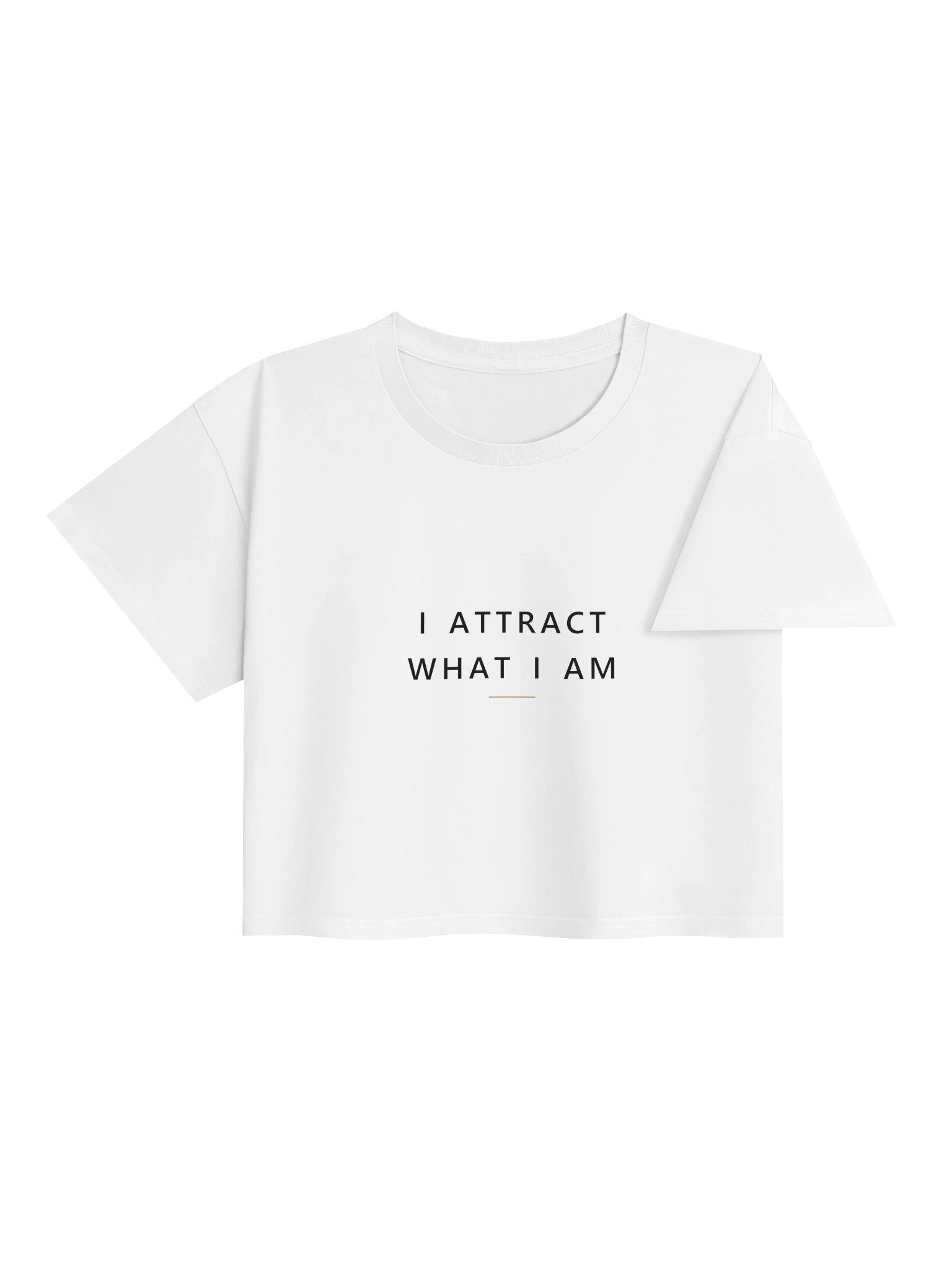 I Attract What I Am Crop Top product image (13)