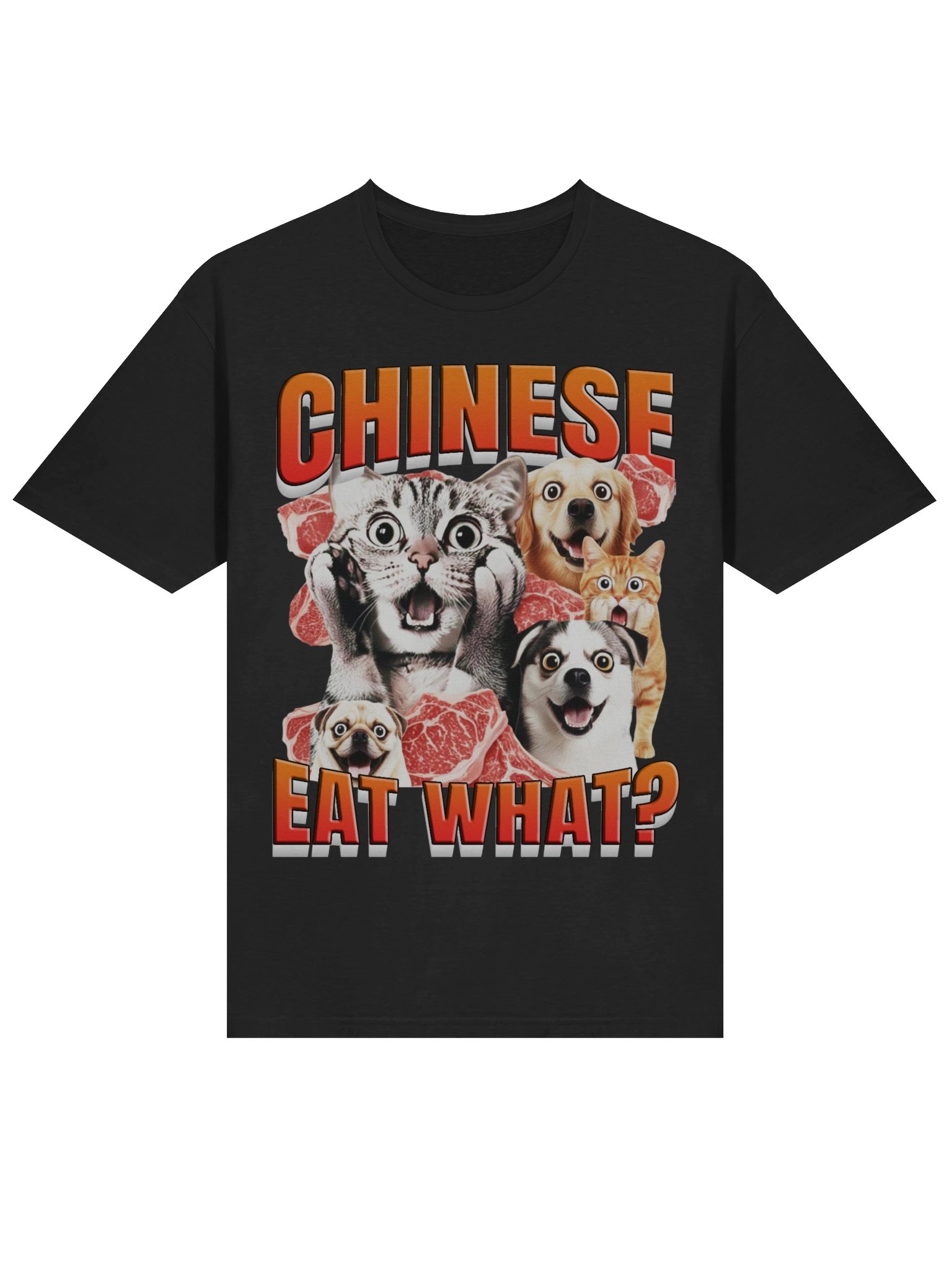 Chinese Eat What? T-Shirt product image (3)