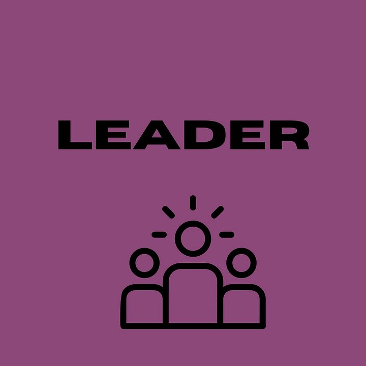 LEADER (PREMIUM LICENSE) product image (1)