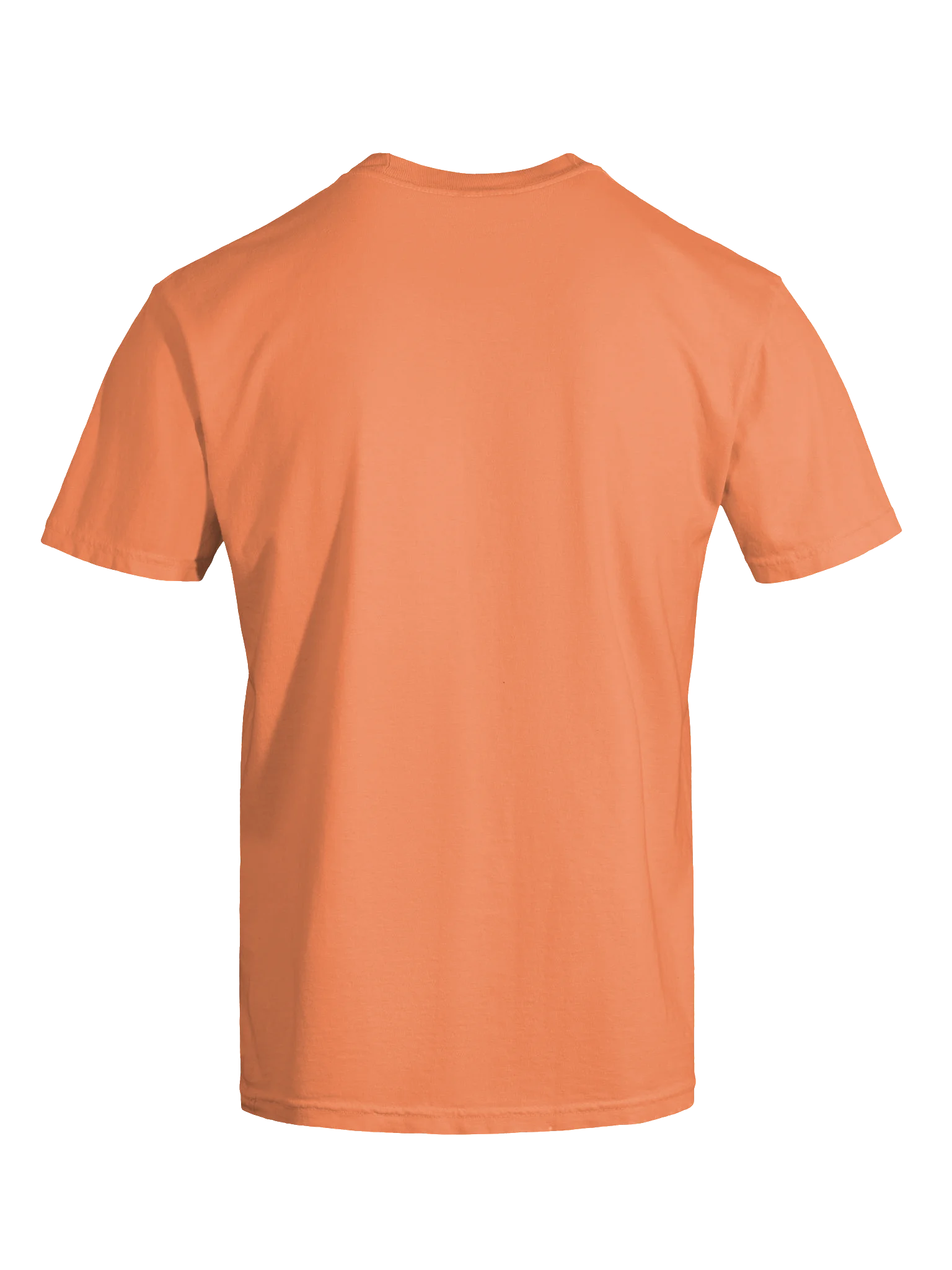 Boo-P Ghost Dog T-Shirt | Funny Halloween Dog Tee product image (7)