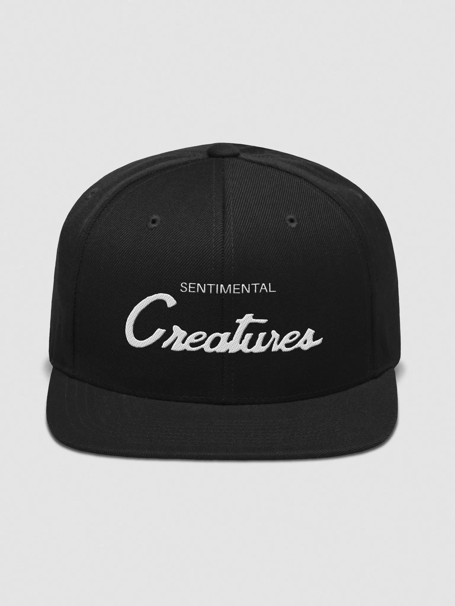 Embroidered Script Hat product image (1)