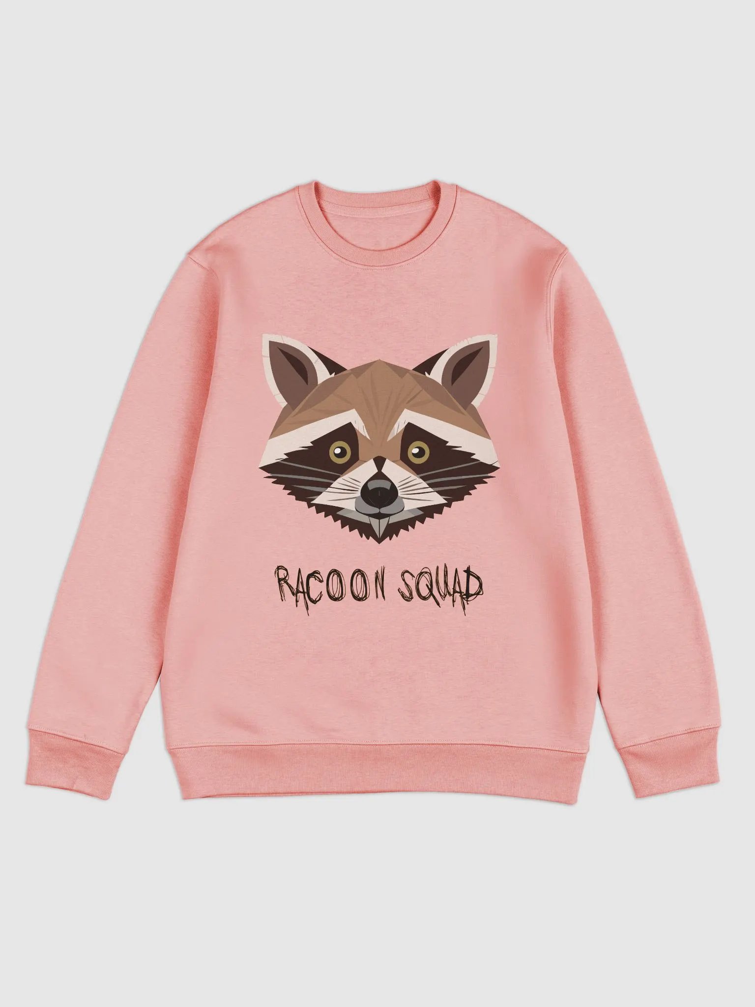 Raccoon Squad - The Sweater product image (1)
