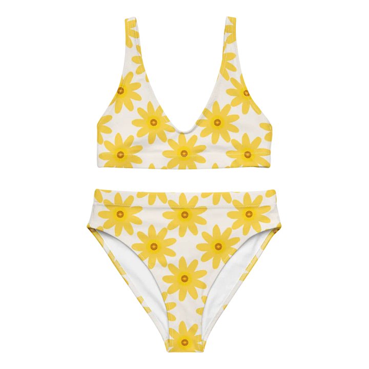 Daisy Dreams #3 High-Waisted Bikini Set product image (1)