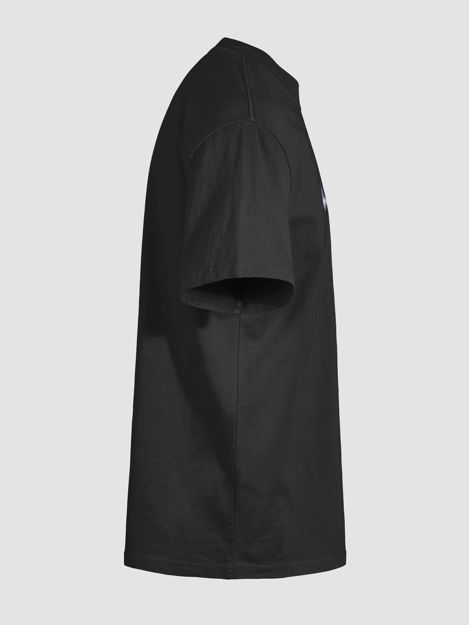 Synthet heavyweight tee product image (12)