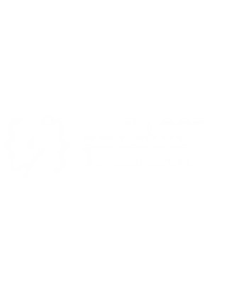 developertimeline