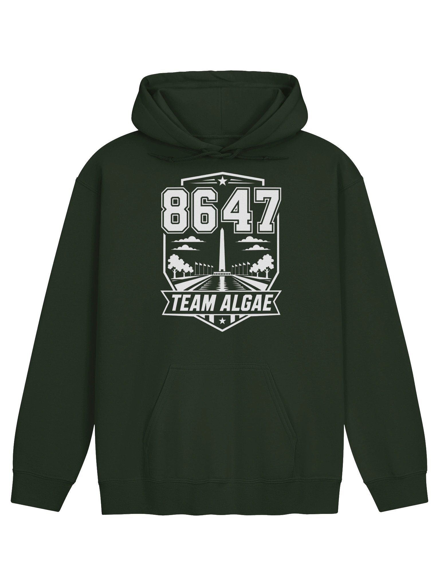 Team Algae 8647 Pullover Hoodie product image (1)