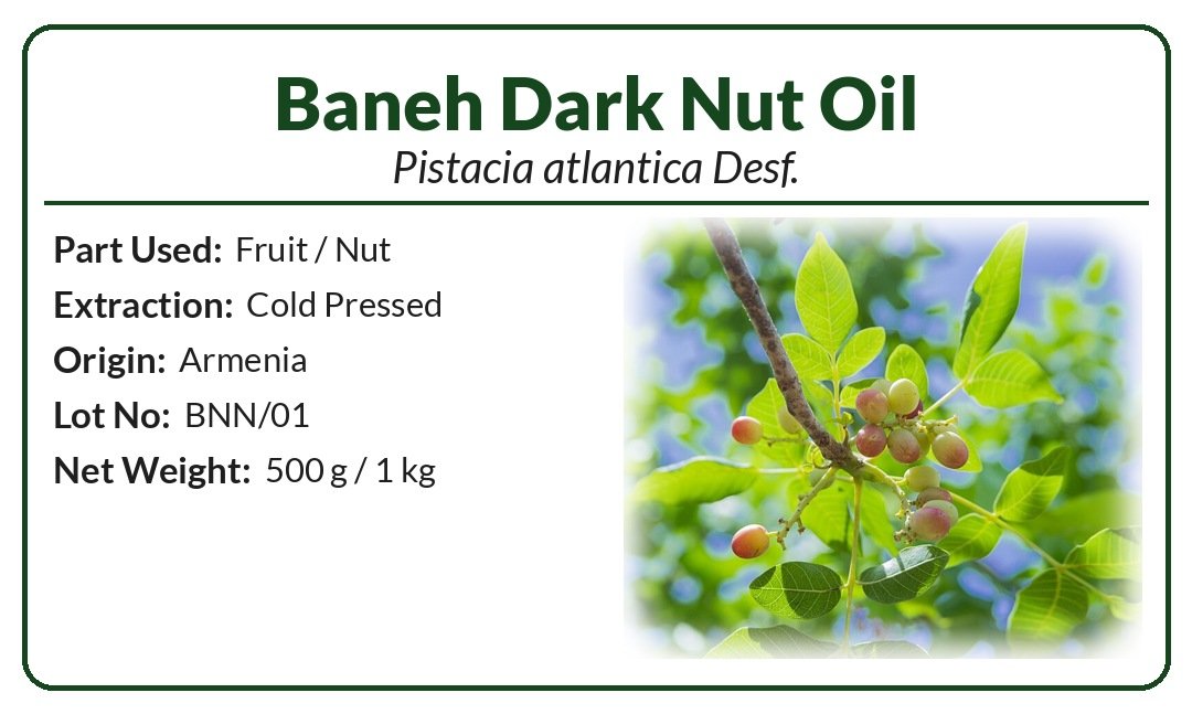 Baneh Dark Nut Oil (Pistacia atlantica) product image (2)