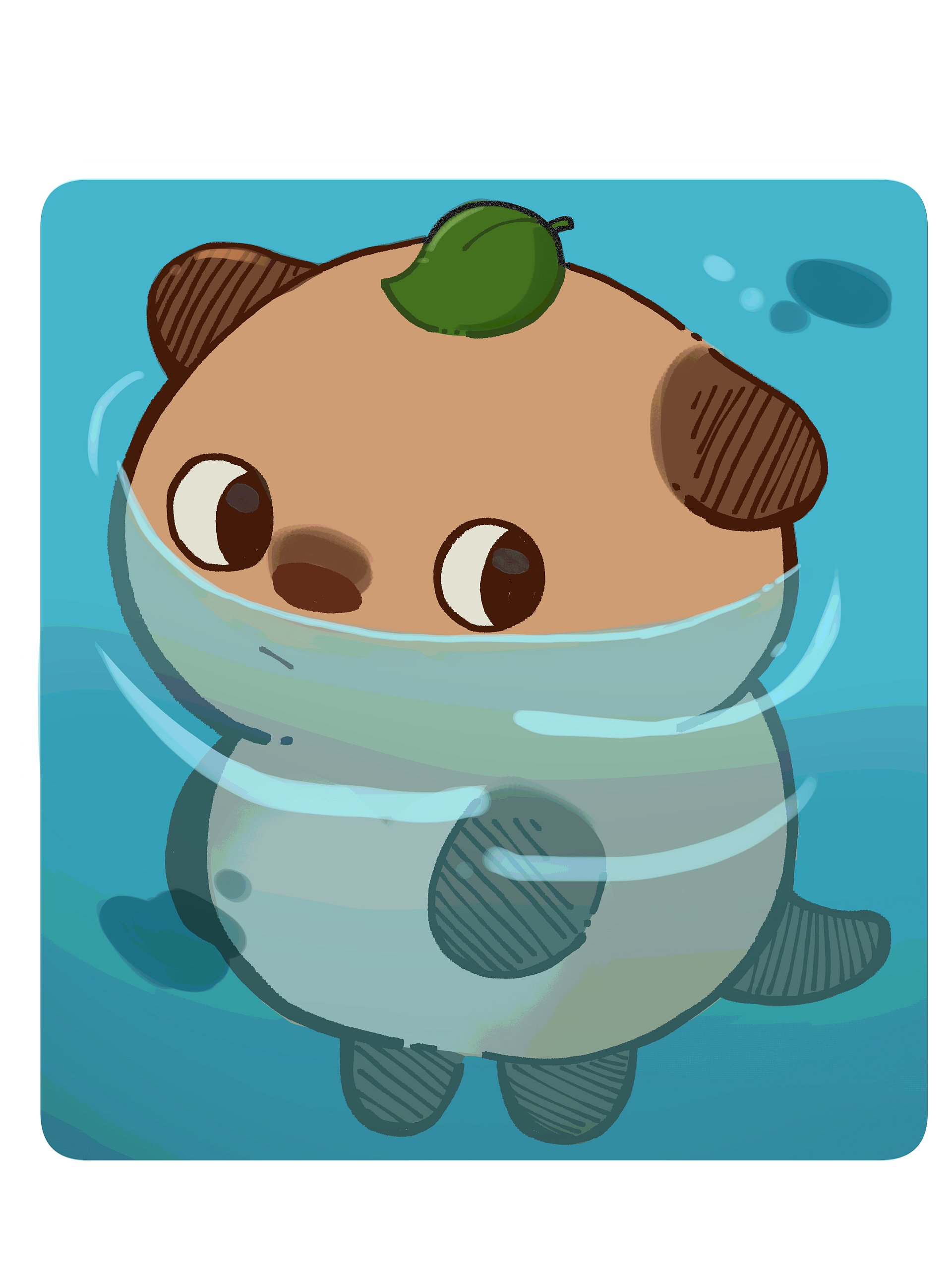 Obbr Stare product image (3)