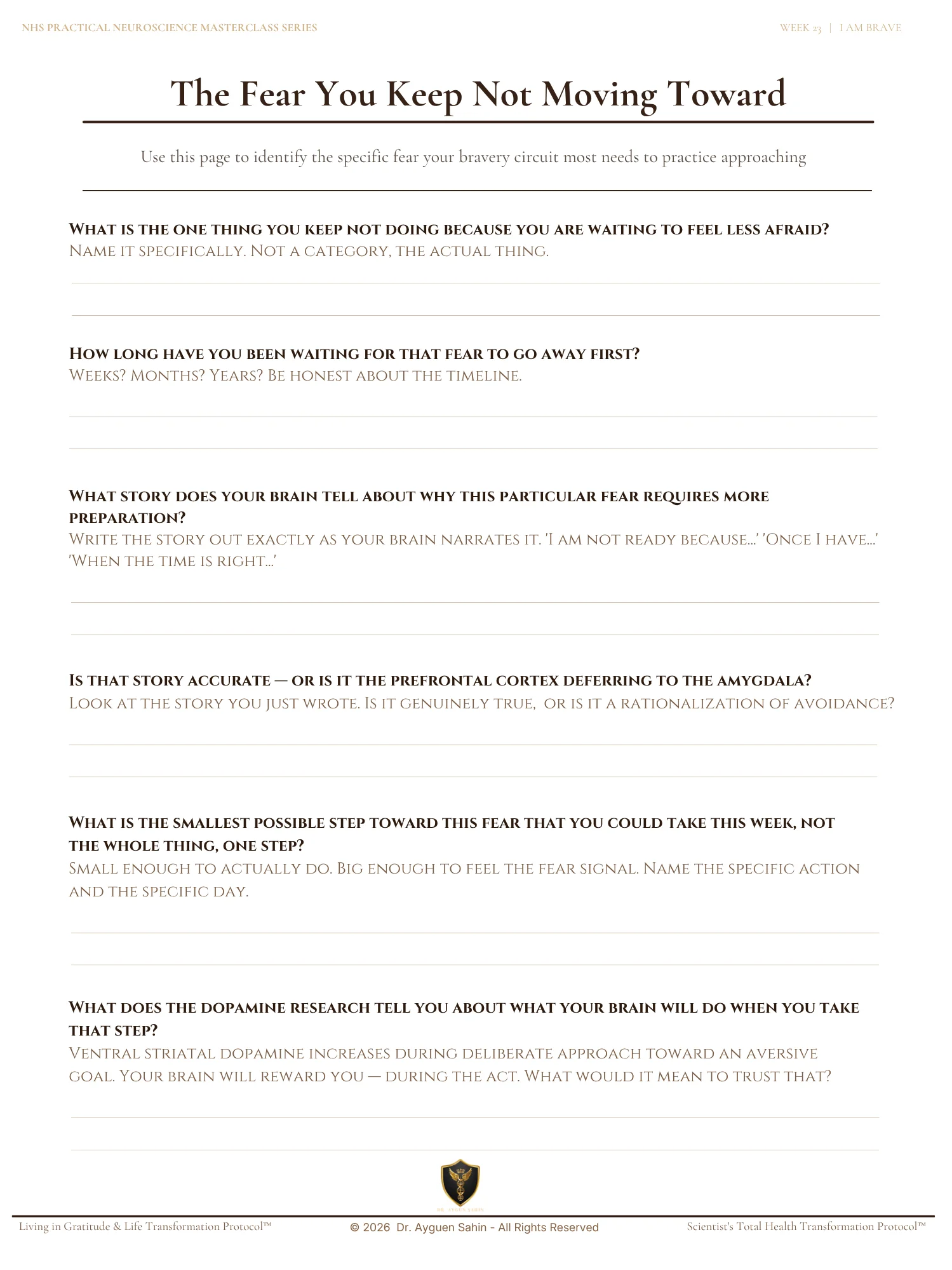 The Bravery Audit product image (2)