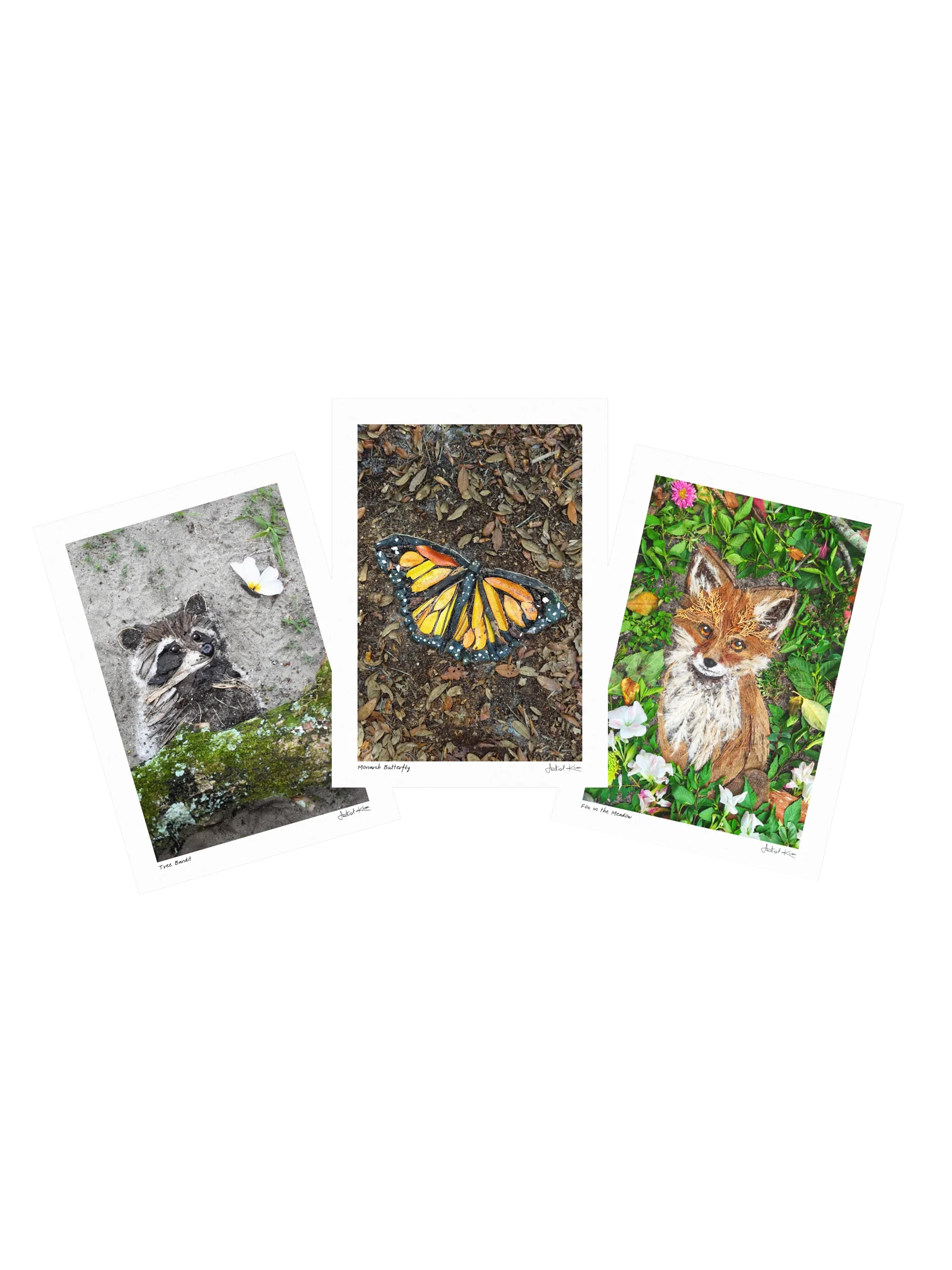 FOREST LIFE COLLECTION | Small Prints product image (1)