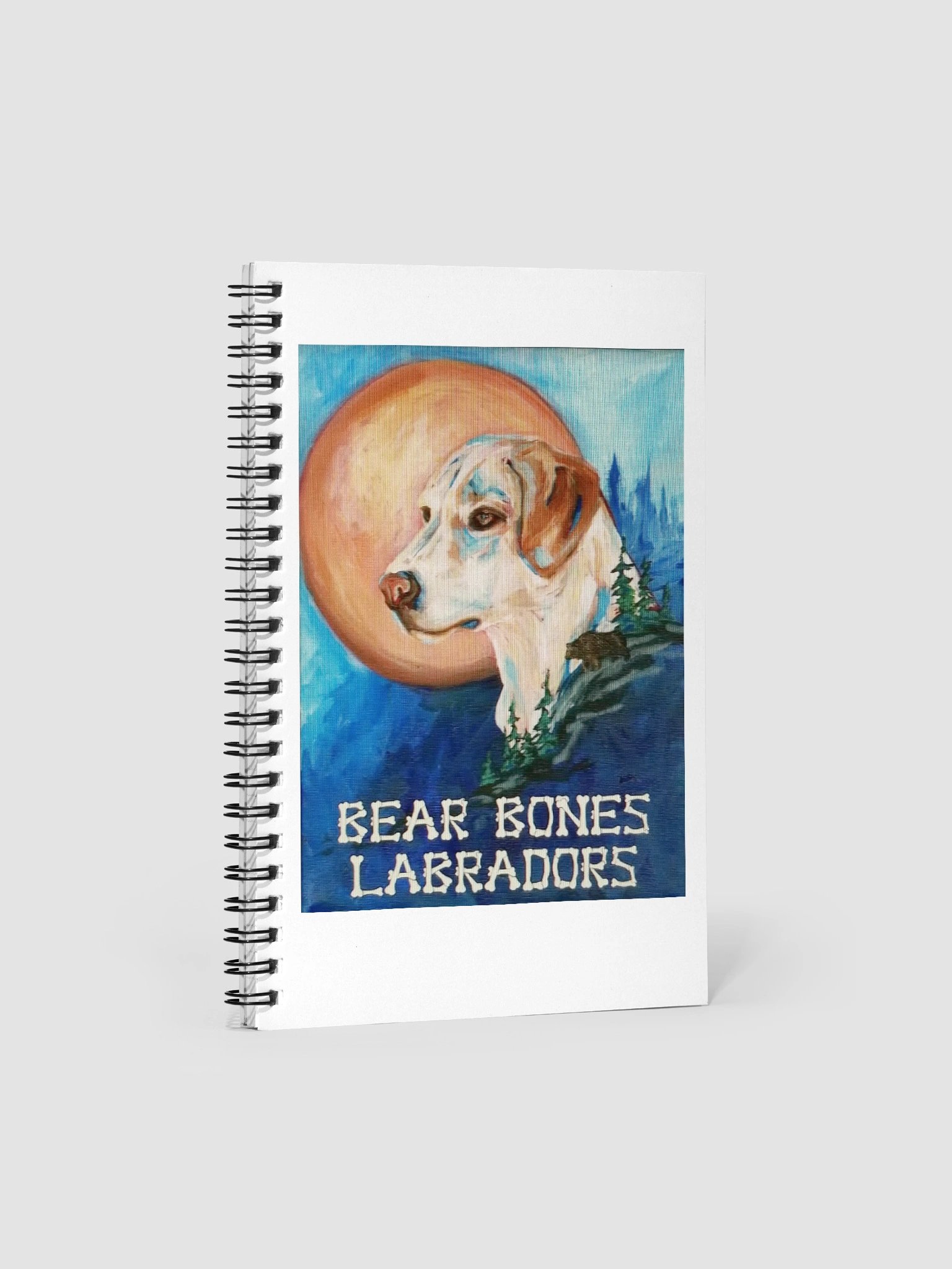 Notebook product image (1)