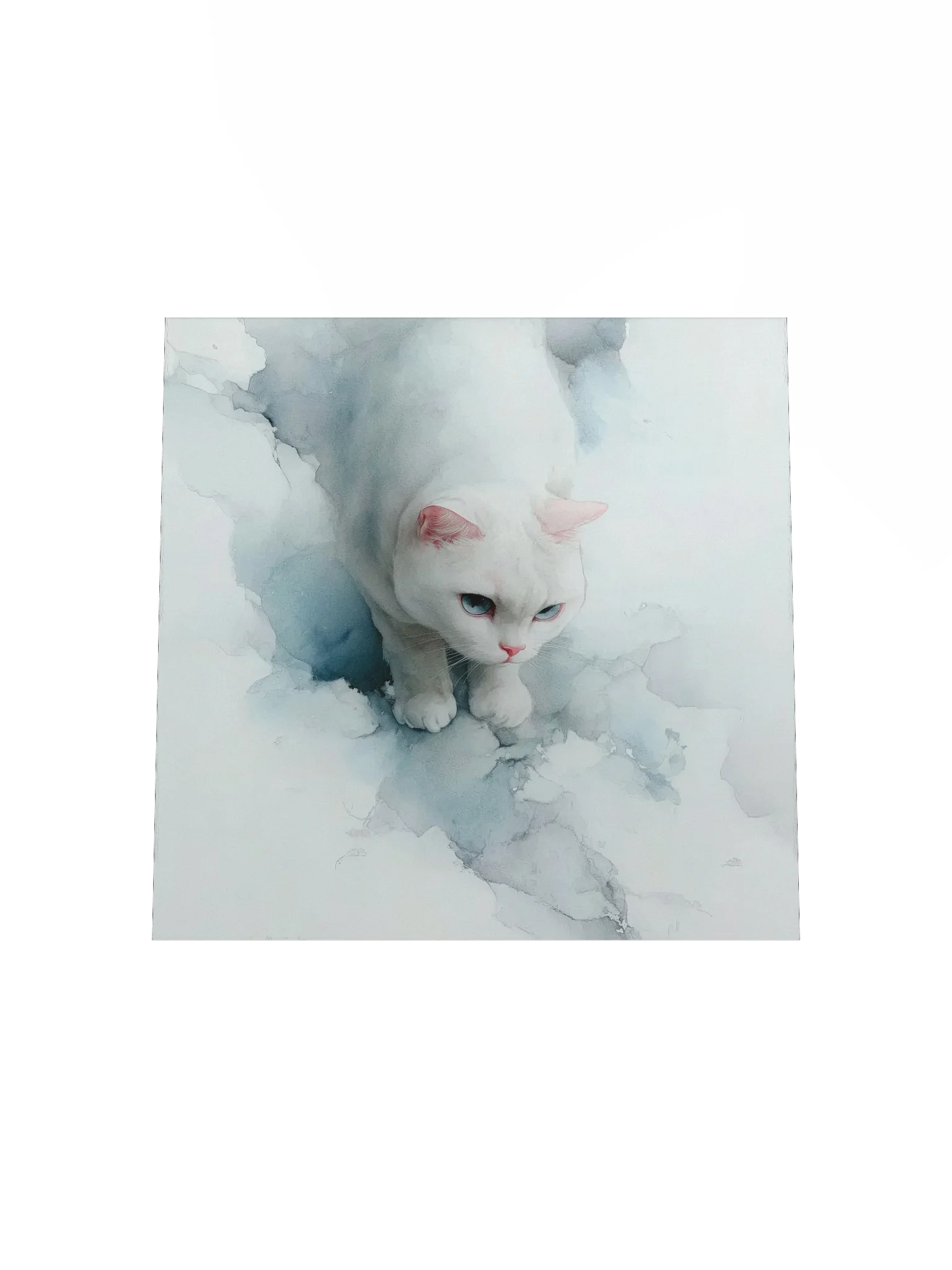 Powder Blue Blue-Eyed Cat product image (16)