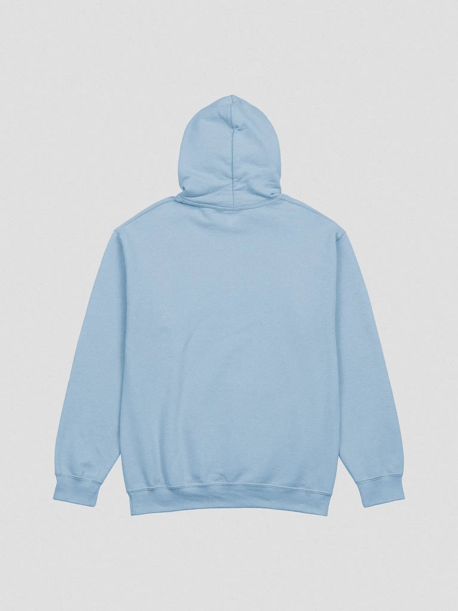 JUST FORGET IT Hoodie product image (7)