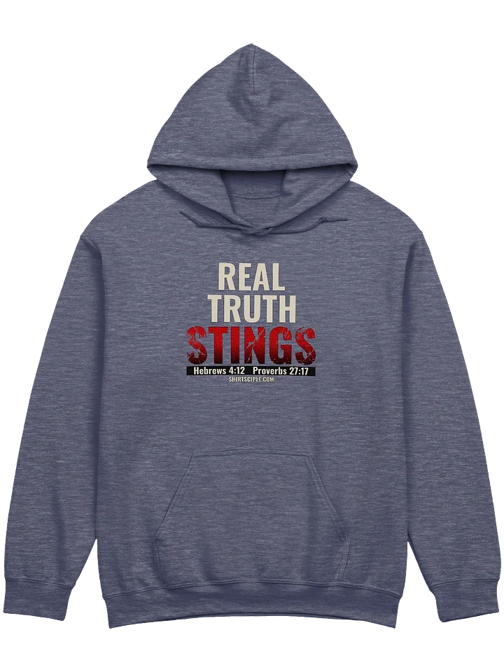 Real Truth Stings Hoodie product image (17)