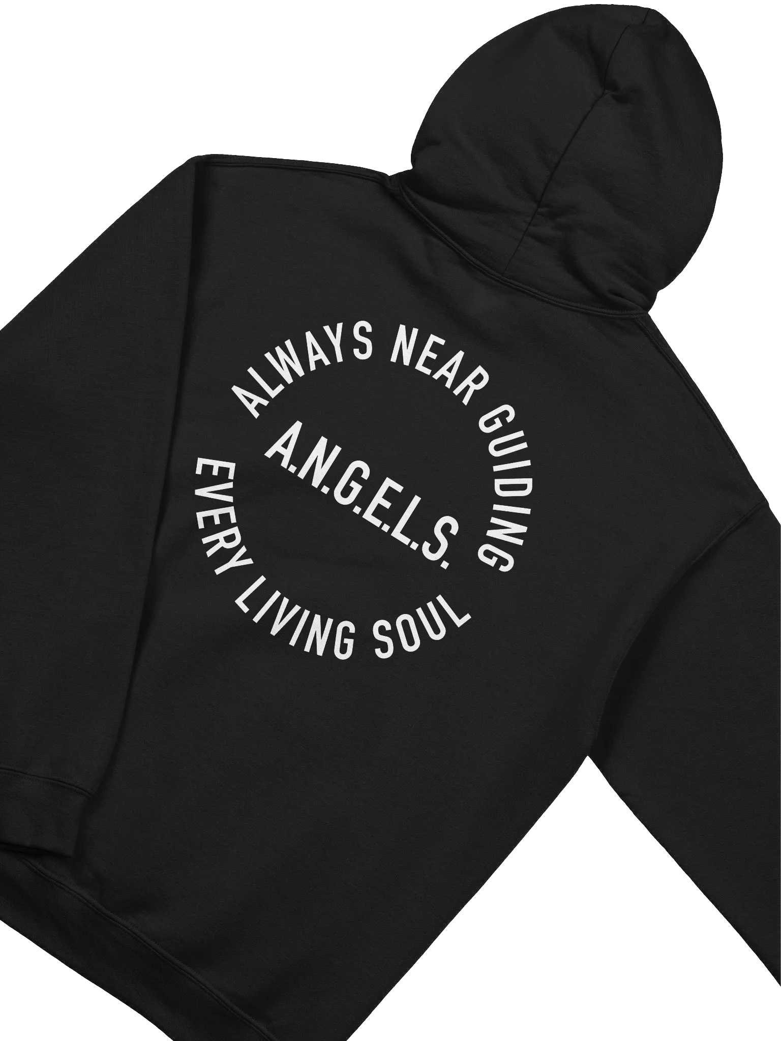 A.N.G.E.L.S. Hoodie product image (4)