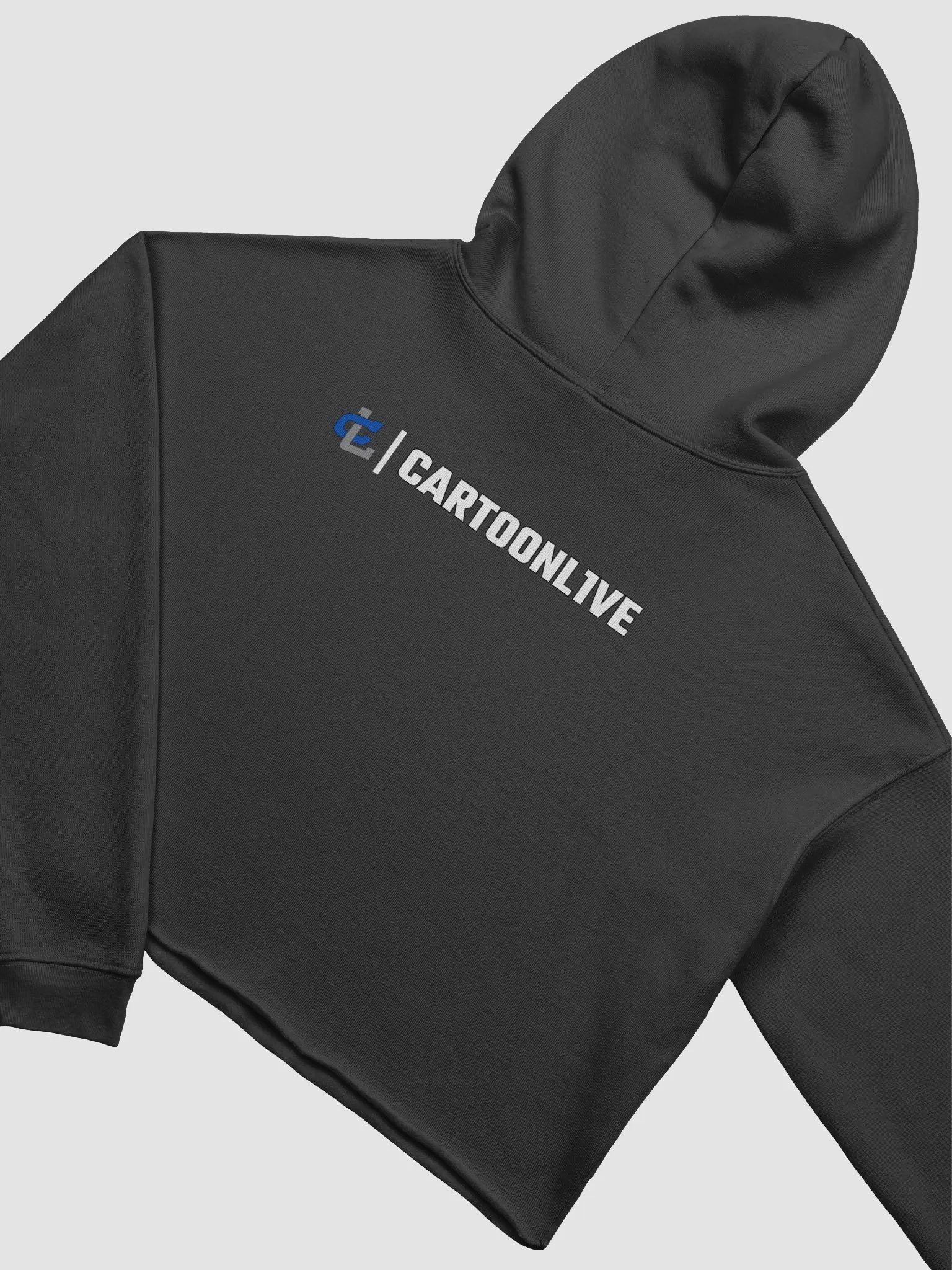 TGC CROP HOODIE product image (4)