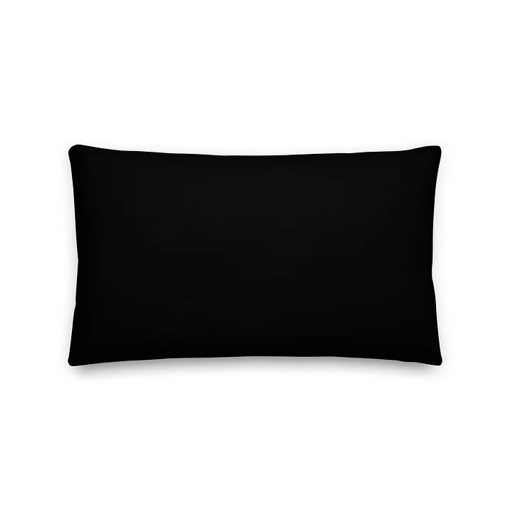 Lizette pillow product image (5)