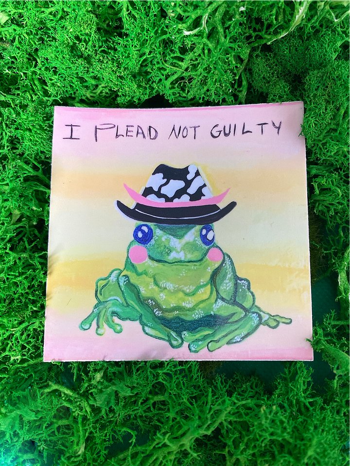 Not Guilty Frog product image (1)