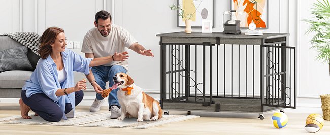 Dog Crate