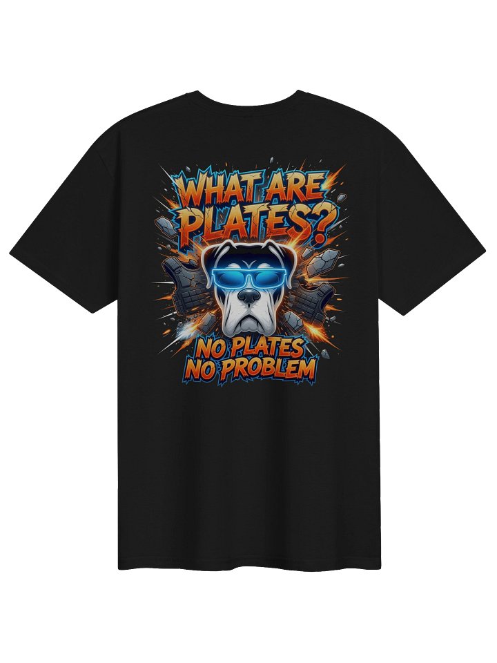 What are Plates? No Plates, No Problem product image (1)