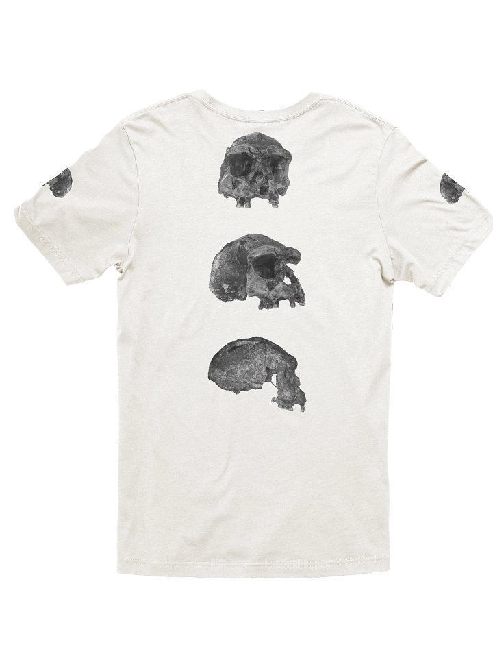 Erectus Fossil Skull T-Shirt Light product image (11)