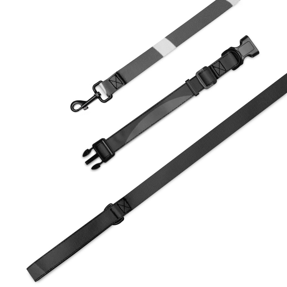 Grey Mystic Collar & Leash Set product image (5)