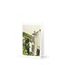 Greek View, Blank Greeting Card (Fathoms Deep Launch)