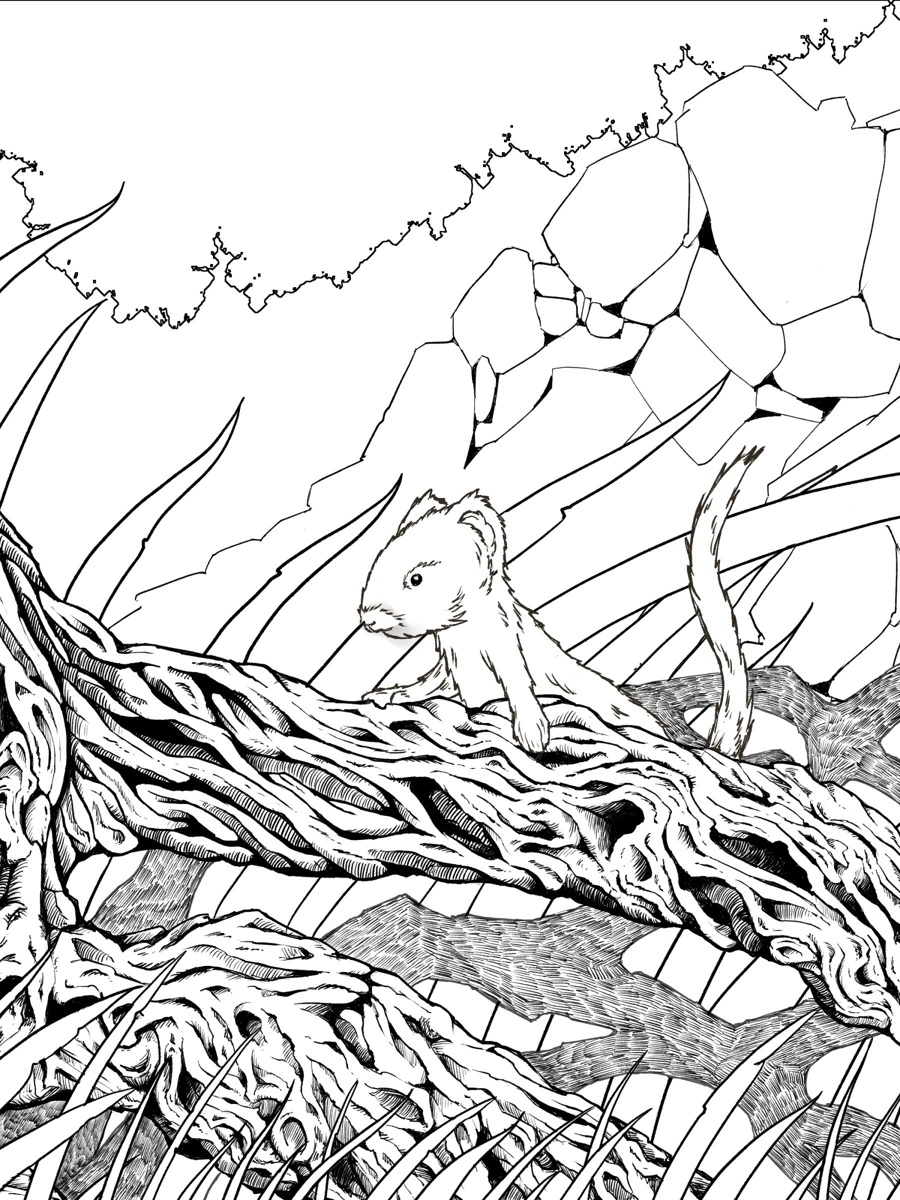 Saltuswood Gap Line Art Pack 1 product image (2)