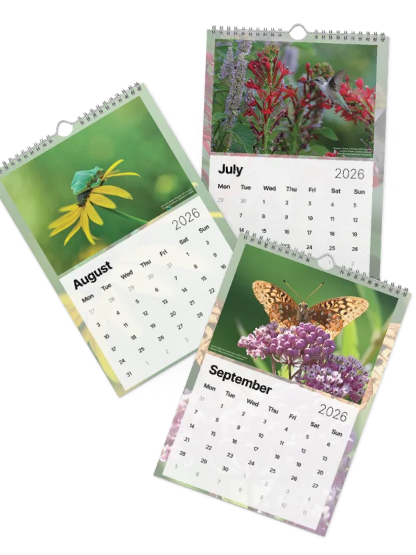 2026 Wall Calendar product image (4)