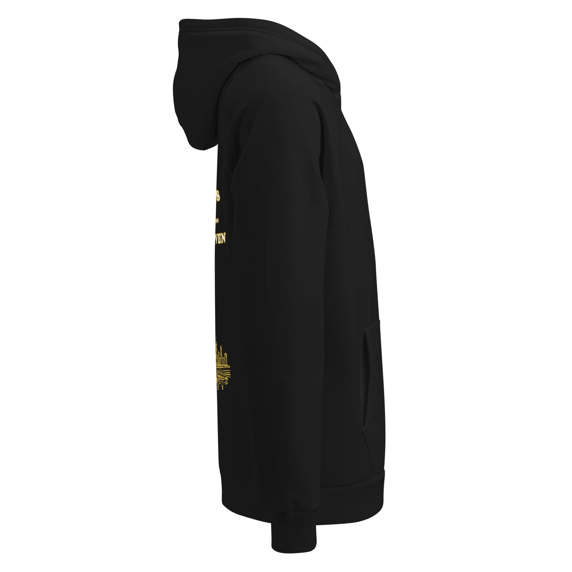 Don UA Hoodie | Don Collection product image (3)