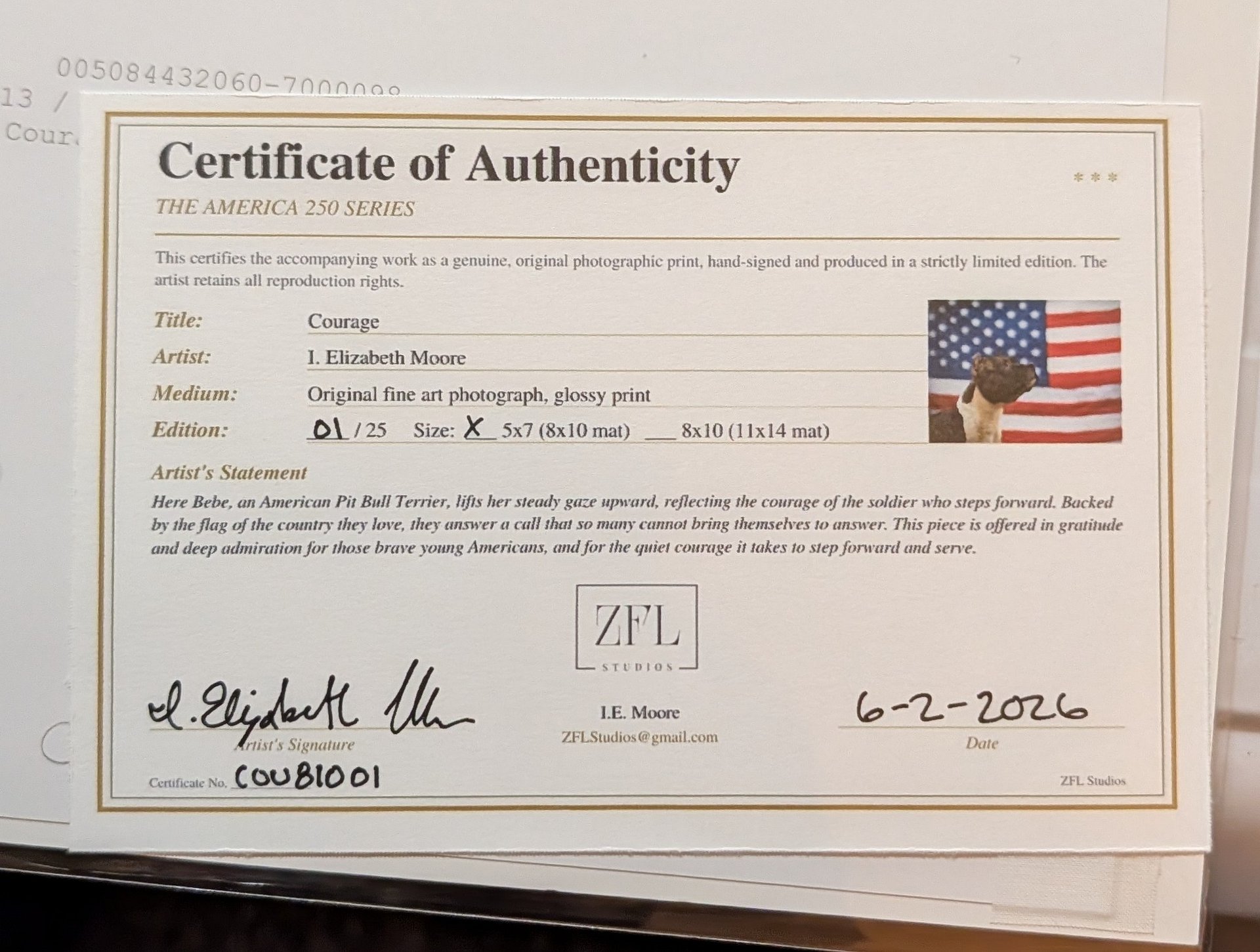 Courage Limited Edition Print – American Pit Bull Terrier USA Flag (Signed 5x7 matted 8x10) product image (3)