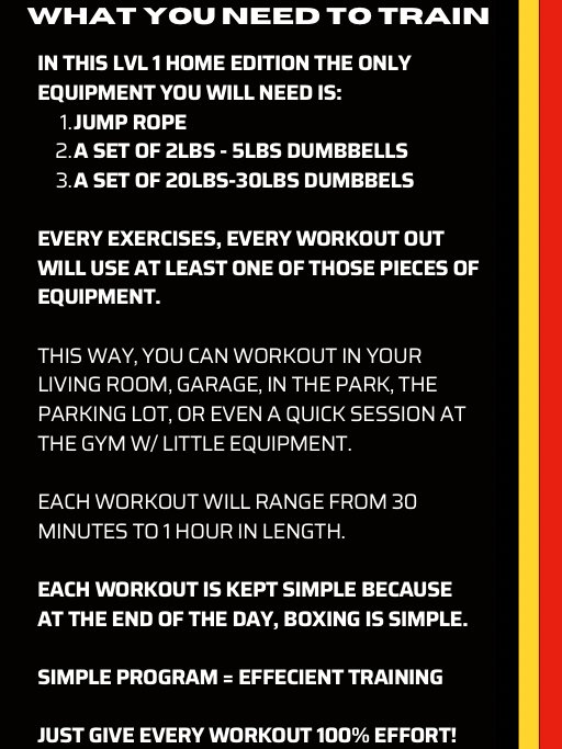 RBT: Basic Boxing Training 6 Week Program Lvl 1 (Home Edition) product image (2)