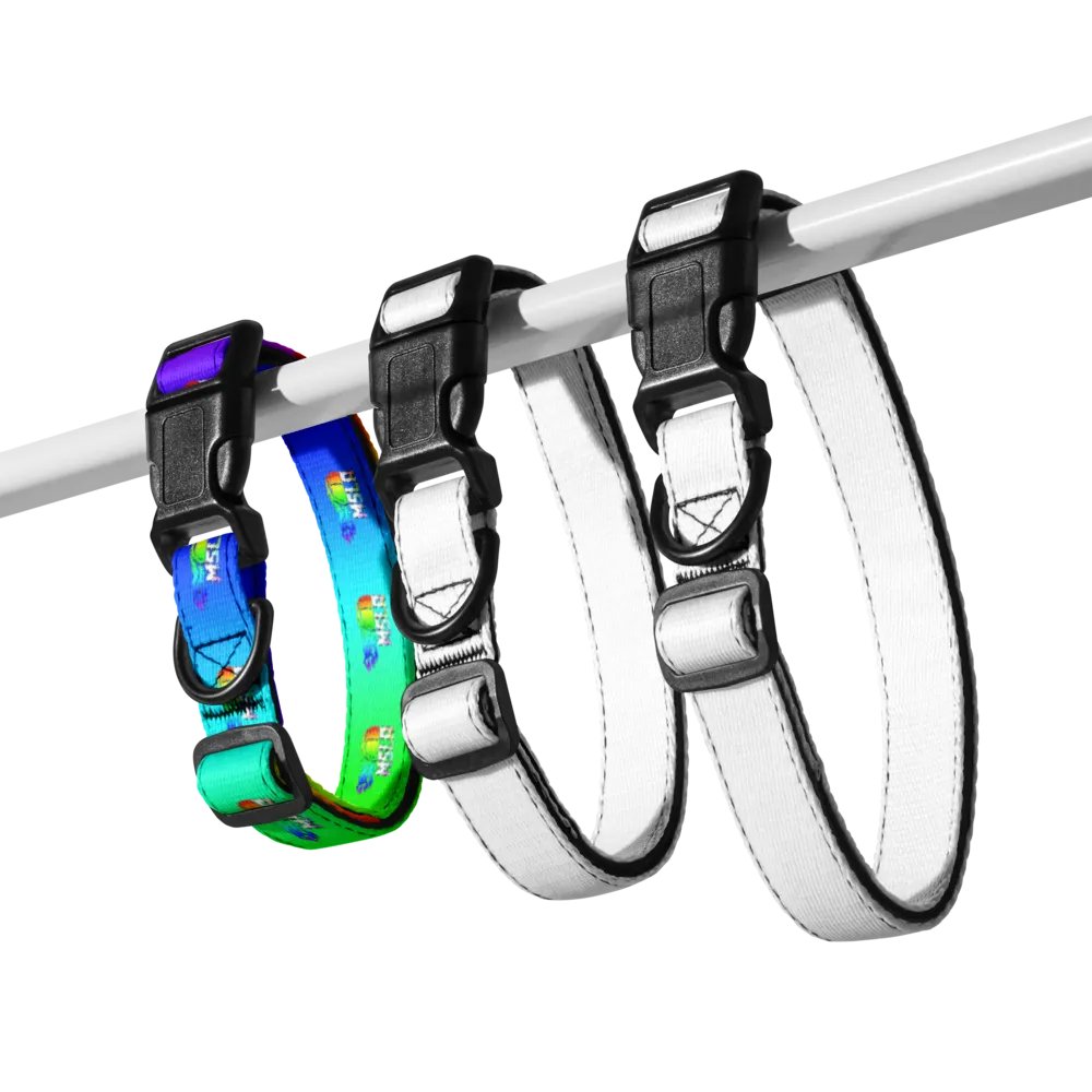 MSLA Pride - Dog Collar product image (5)