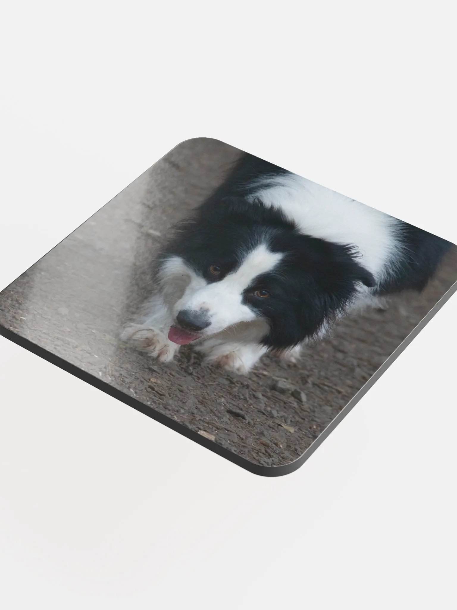 Dog running Coaster product image (4)