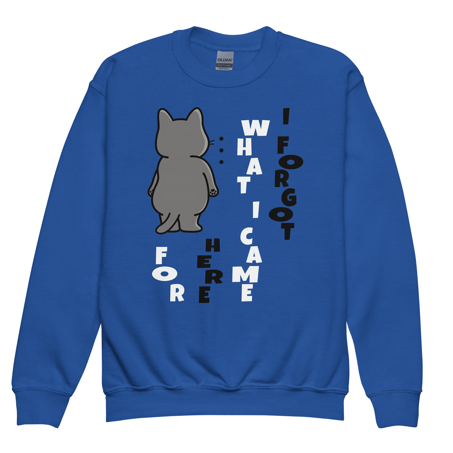Short-term Memory Loss 2 - Unisex Youth Sweatshirt product image (1)