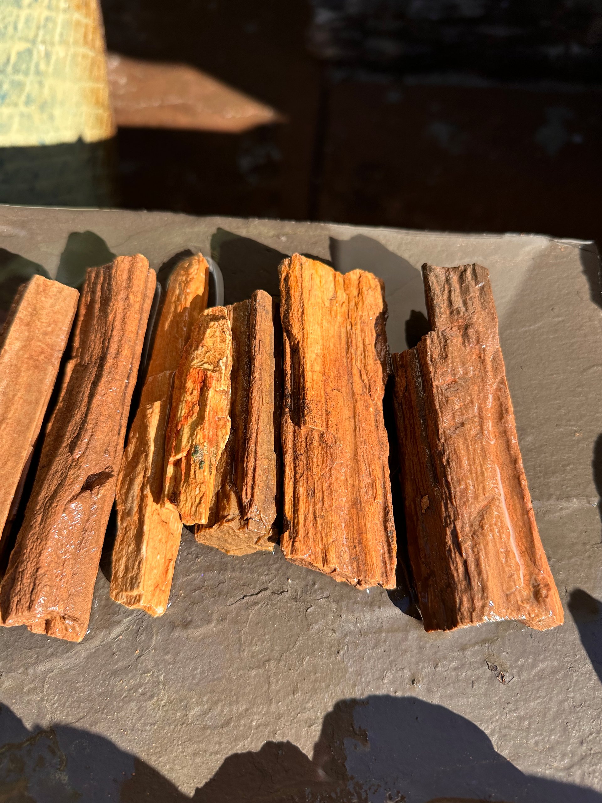 Premium Hand-Sourced Petrified Wood Rough product image (3)