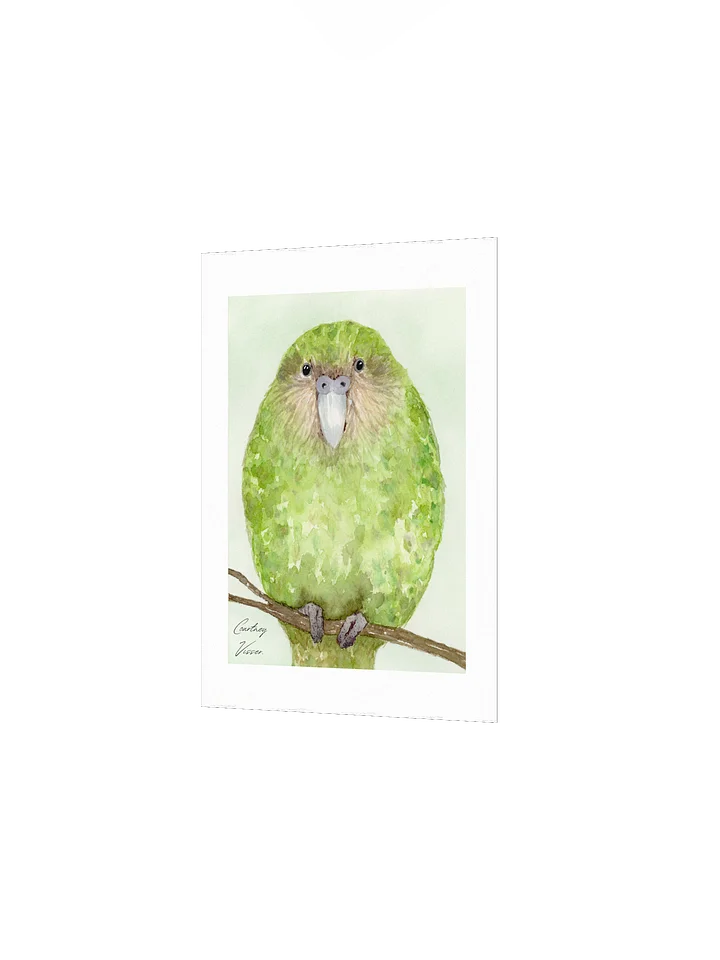 Kākāpō print product image (4)