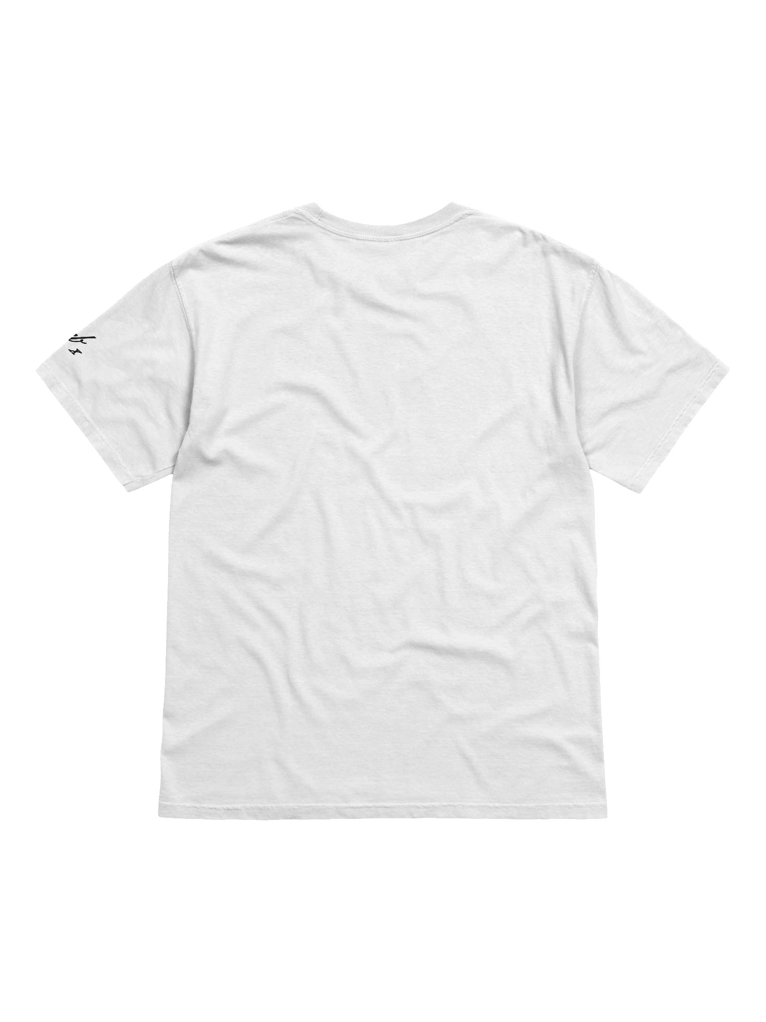 Iconic Court Transcripts Classic T-Shirt product image (2)