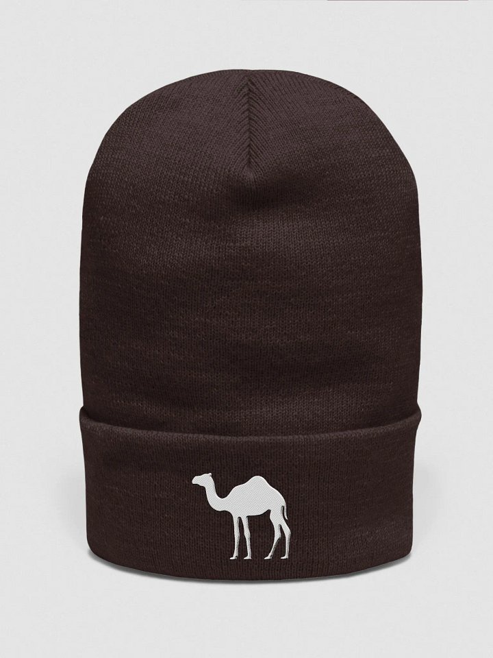 CAMEL Beanie product image (2)