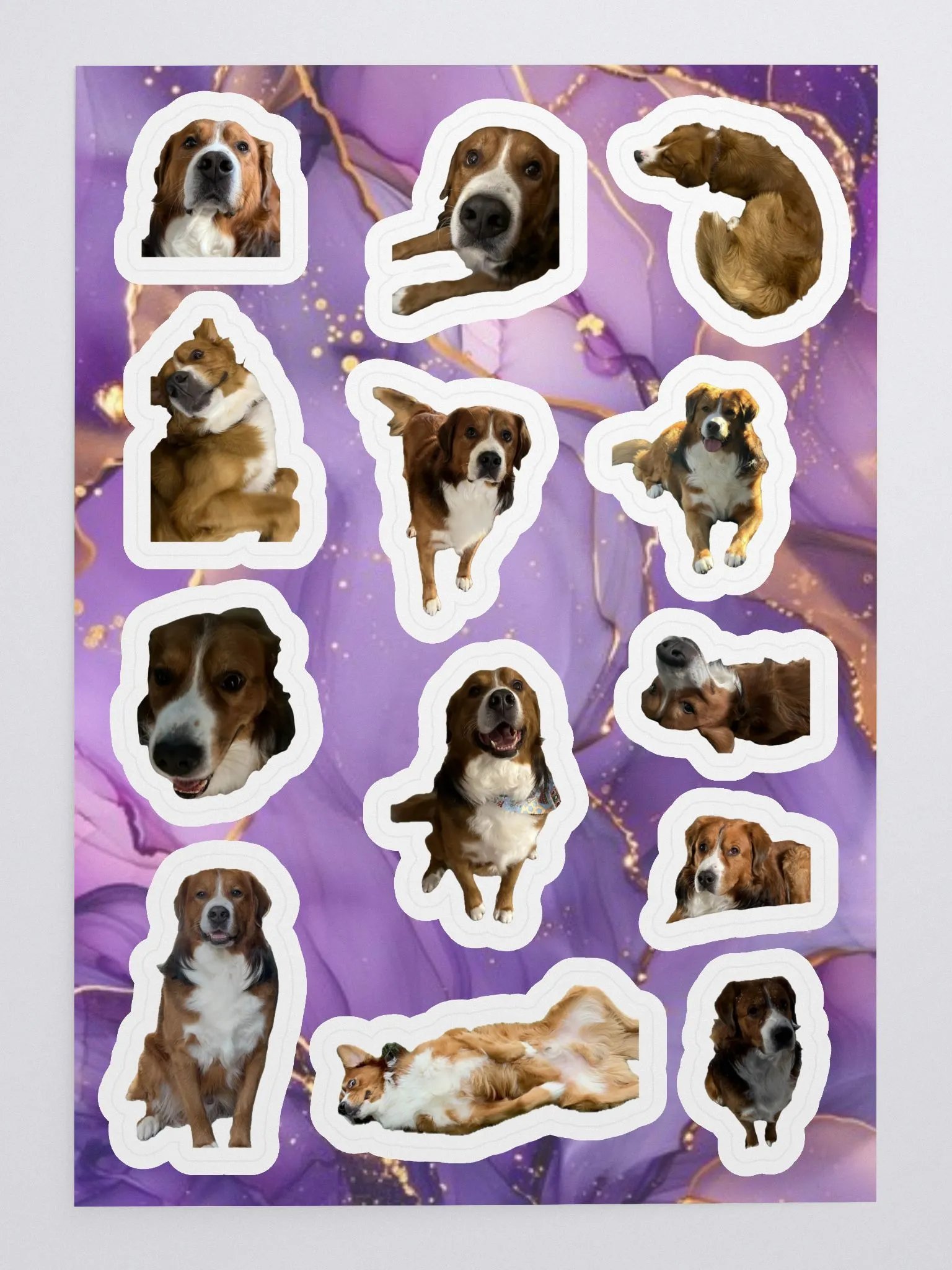 Leo Sticker Sheet product image (3)