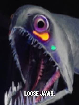 Hagfish? More like GAGfish 🤢🤢🤢 #hagfish #whalefall #busonetrivia 