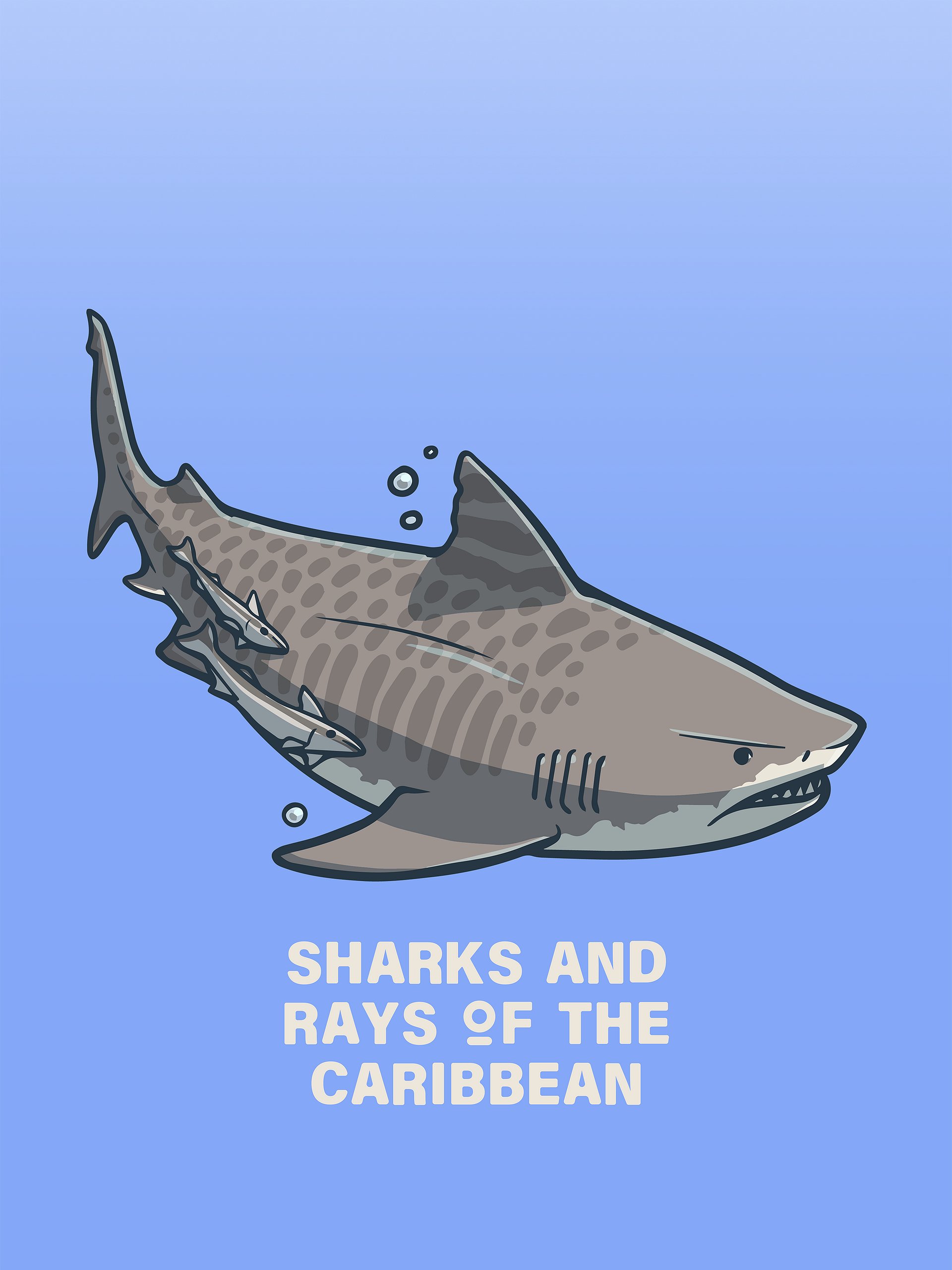 Sharks and Rays of the Caribbean - Icon Pack product image (5)
