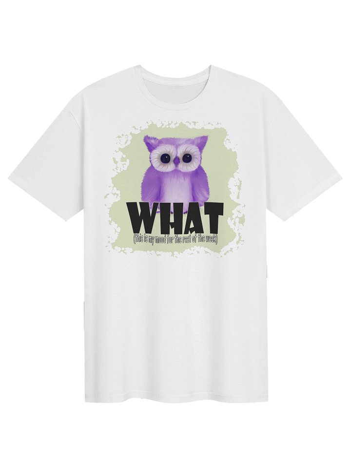 Unisex Gildan Softstyle T-Shirt product image (1)