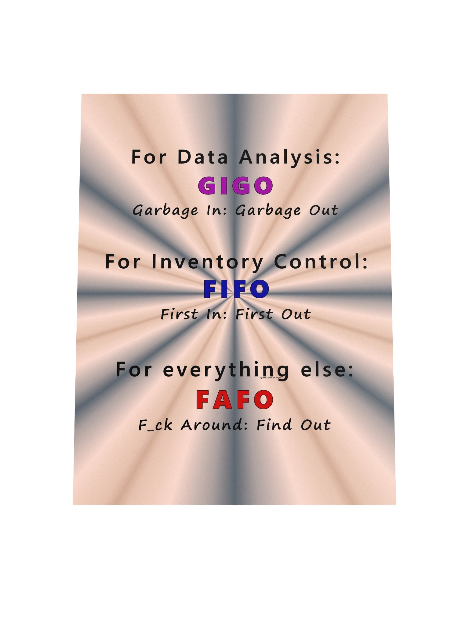 GIGO FIFO FAFO Poster product image (7)