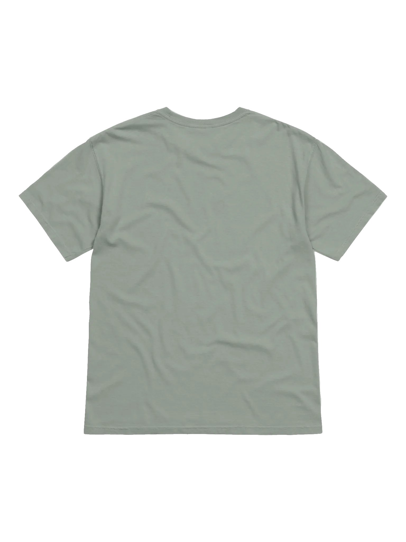Trusty Phishing Tee product image (9)